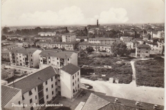 PONTEDERA