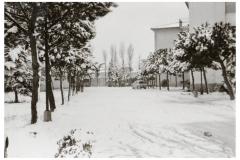 PONTEDERA