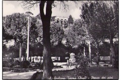 PARCO-DEI-PINI-2