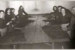 3730anni 1950 - lavorazione del tabacco seccato , attività ormai scomparsa ... (copia)