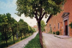 9992cartolina san miniato (pi) conservatorio s.chiara