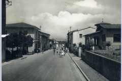 3920staffoli santa croce (2)