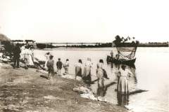 594556 nizio 900 arno vicino san donato