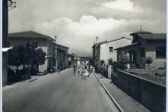 909919 staffoli santa croce