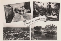 VECCHIANO