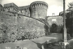 VOLTERRA