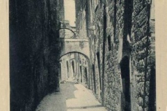 44221920c volterra