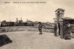 VOLTERRA