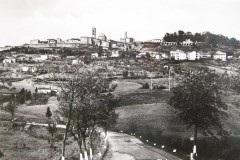 943230.jpg_backup